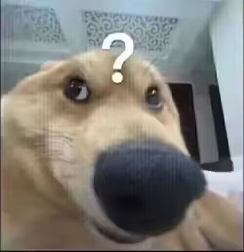 加点好友来玩呗 2