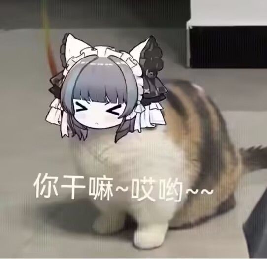 答辩 2