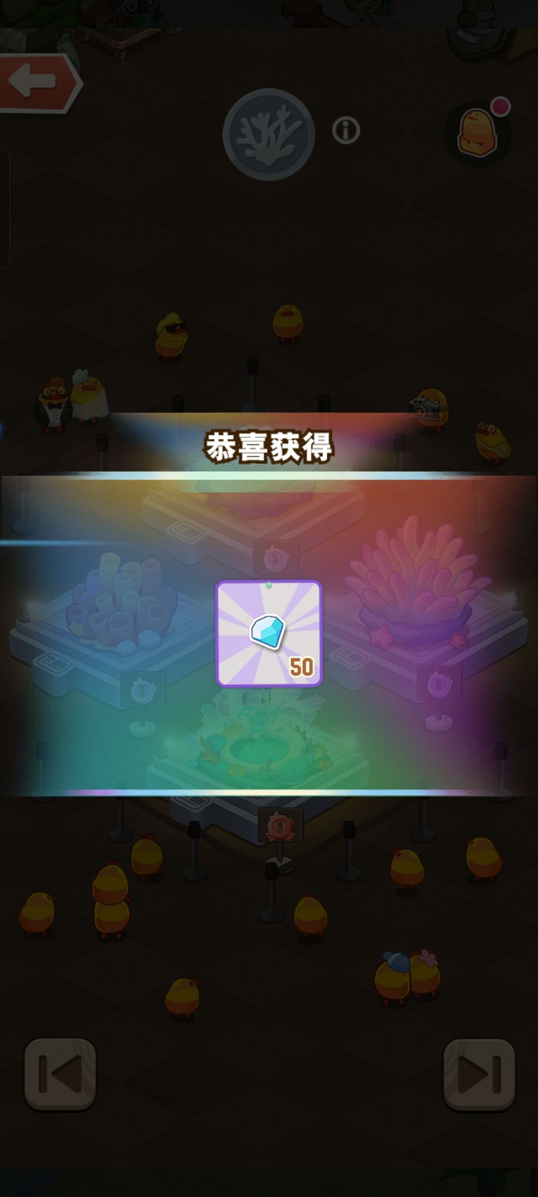 动态图片 5