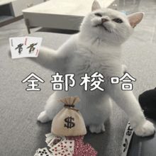 什么时候更新啊截图