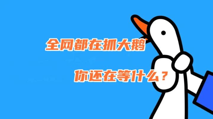全网都在抓大鹅，你还在等什么？截图