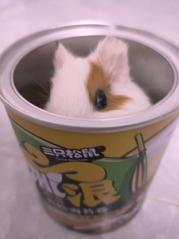 新区哪里开啊截图