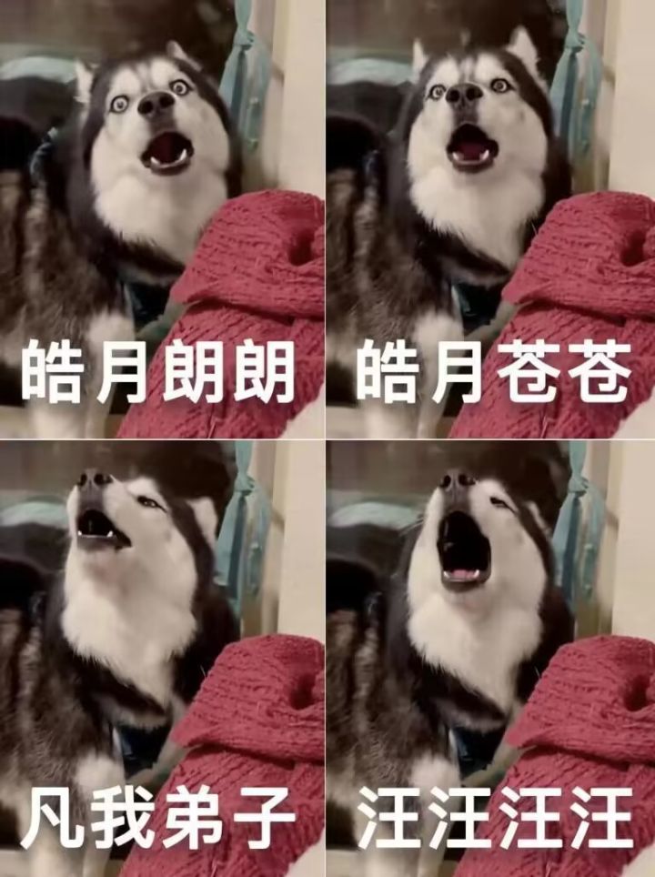 鸣潮截图