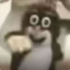 两天双金 3