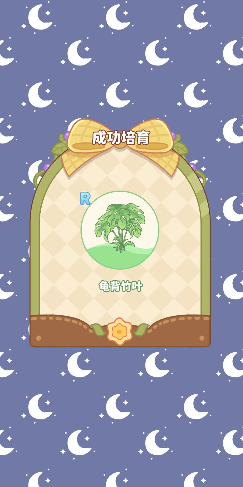 我在小岛的日常 1
