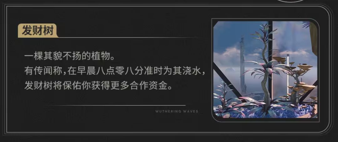 这个有人试过吗? 1