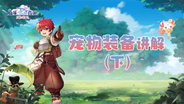 新手教学 | 宠物套装怎么选？一键Get精品搭配！