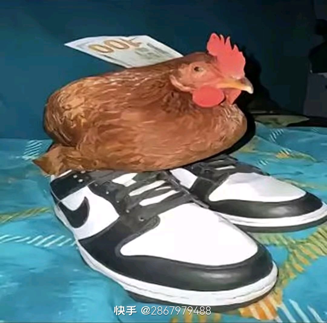 神 的 世 界 5