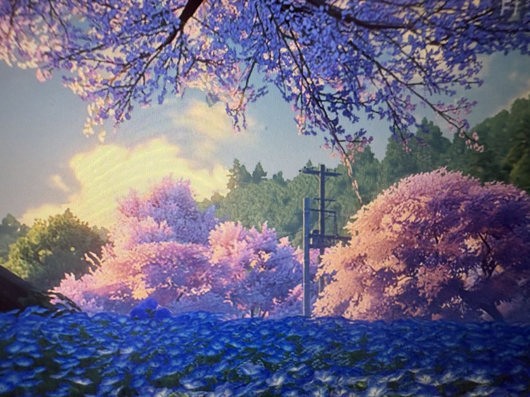 风景好看啊 2