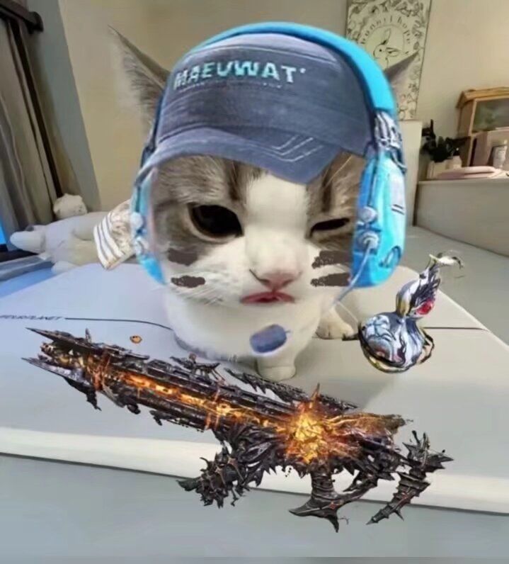CODM启动!!!! 1