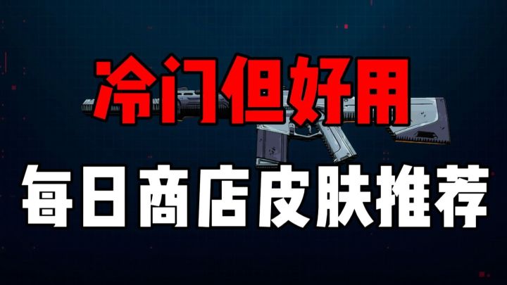 瓦手冷门但好用的皮肤推荐！截图