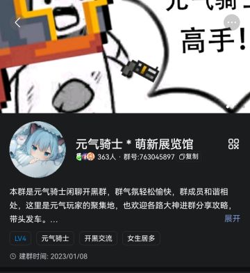 没脸玩元气骑士了
