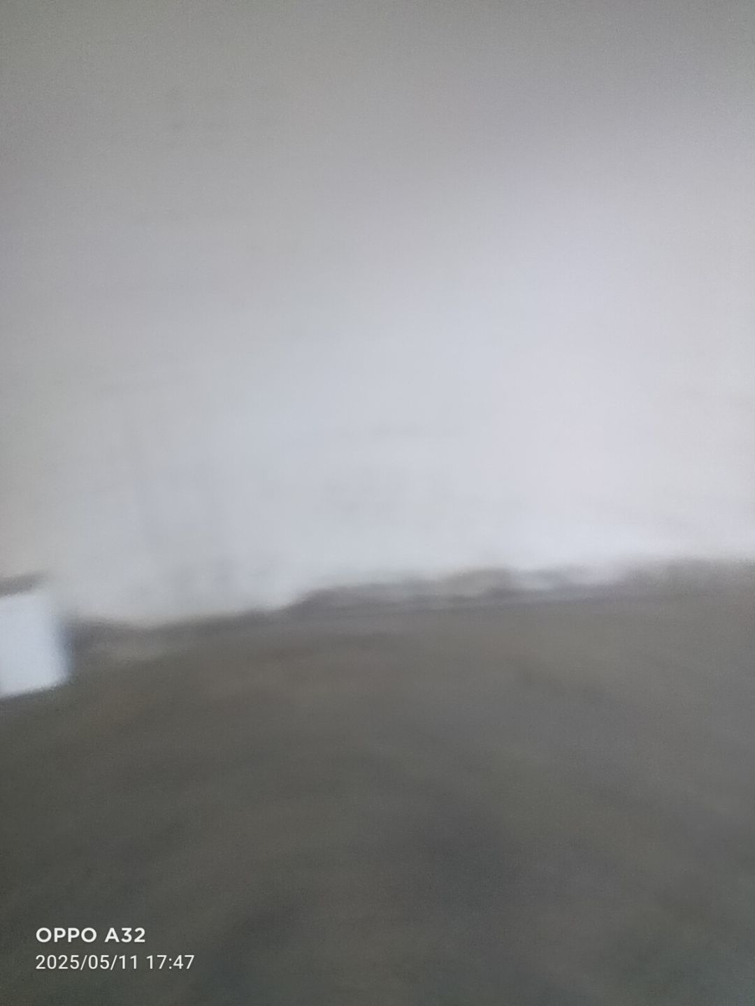 动态图片 17