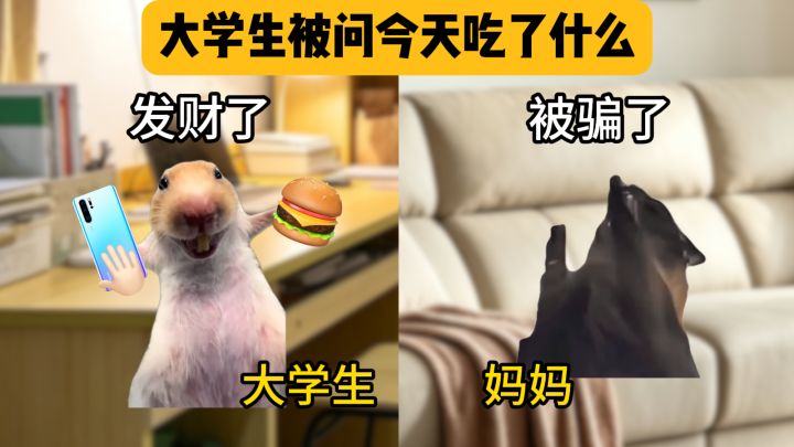 当大学生被父母问在学校吃了什么时截图
