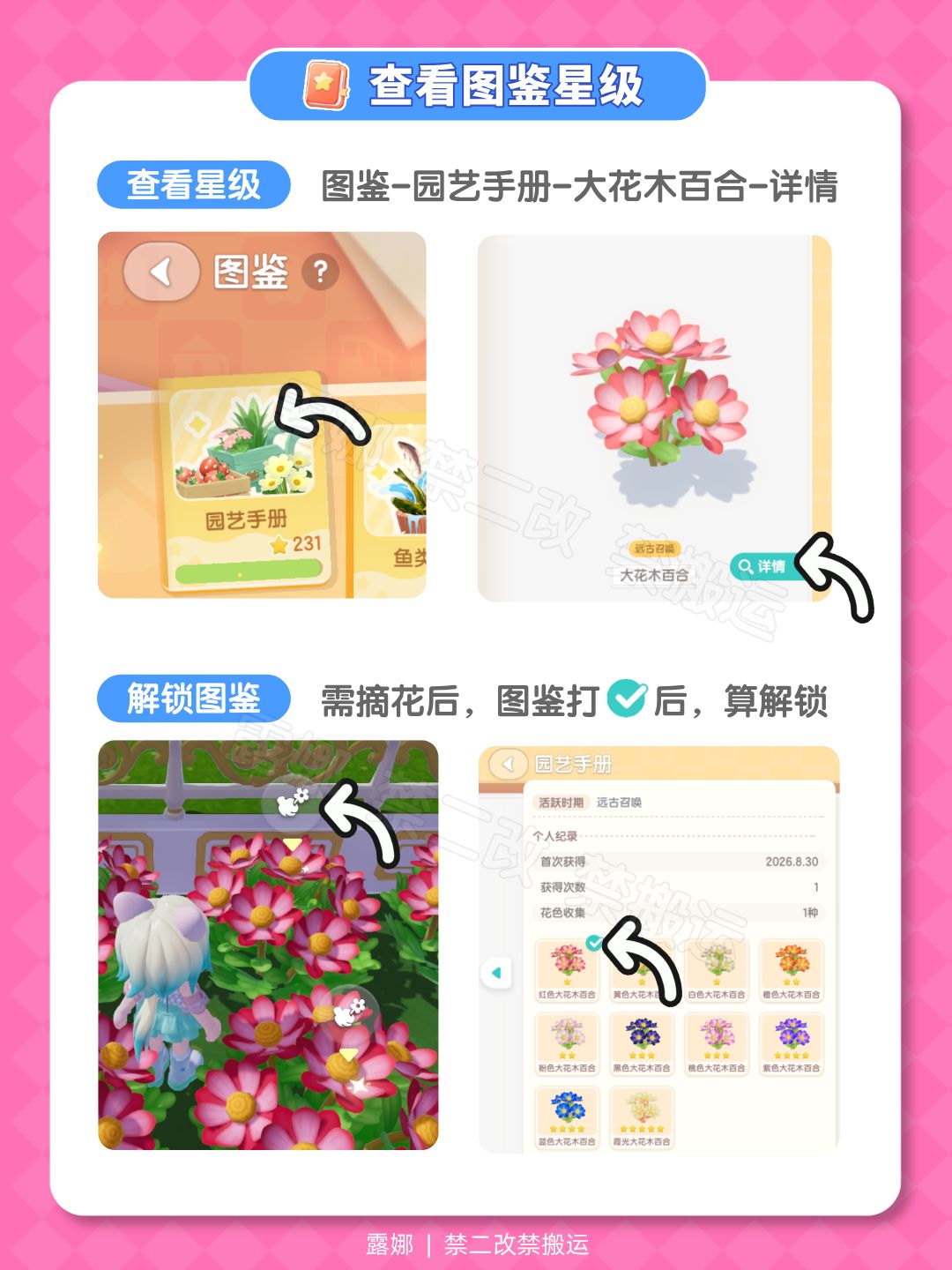 大花木百合 杂交教程 五星攻略 摆放推荐 5
