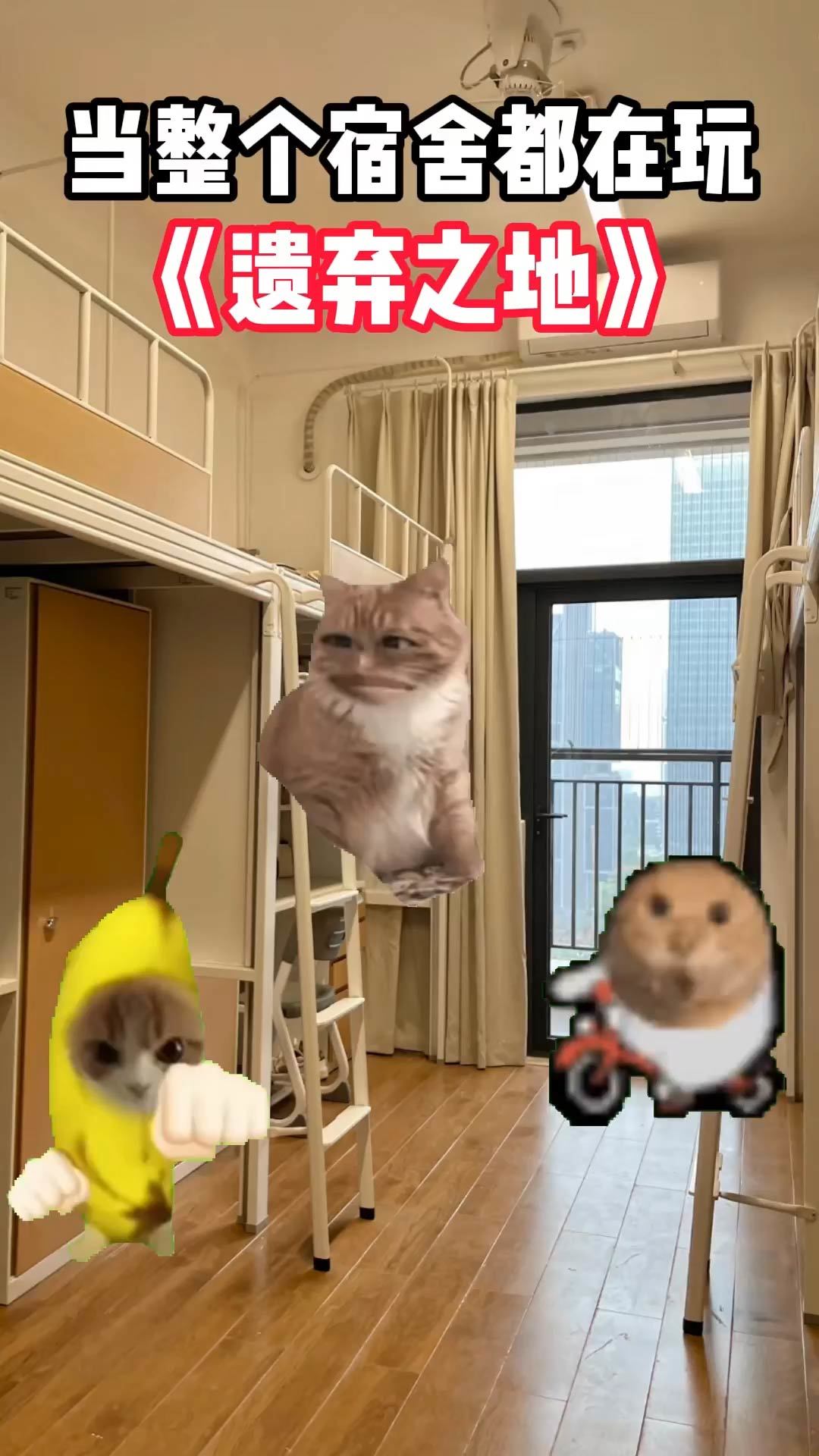 video-5221683