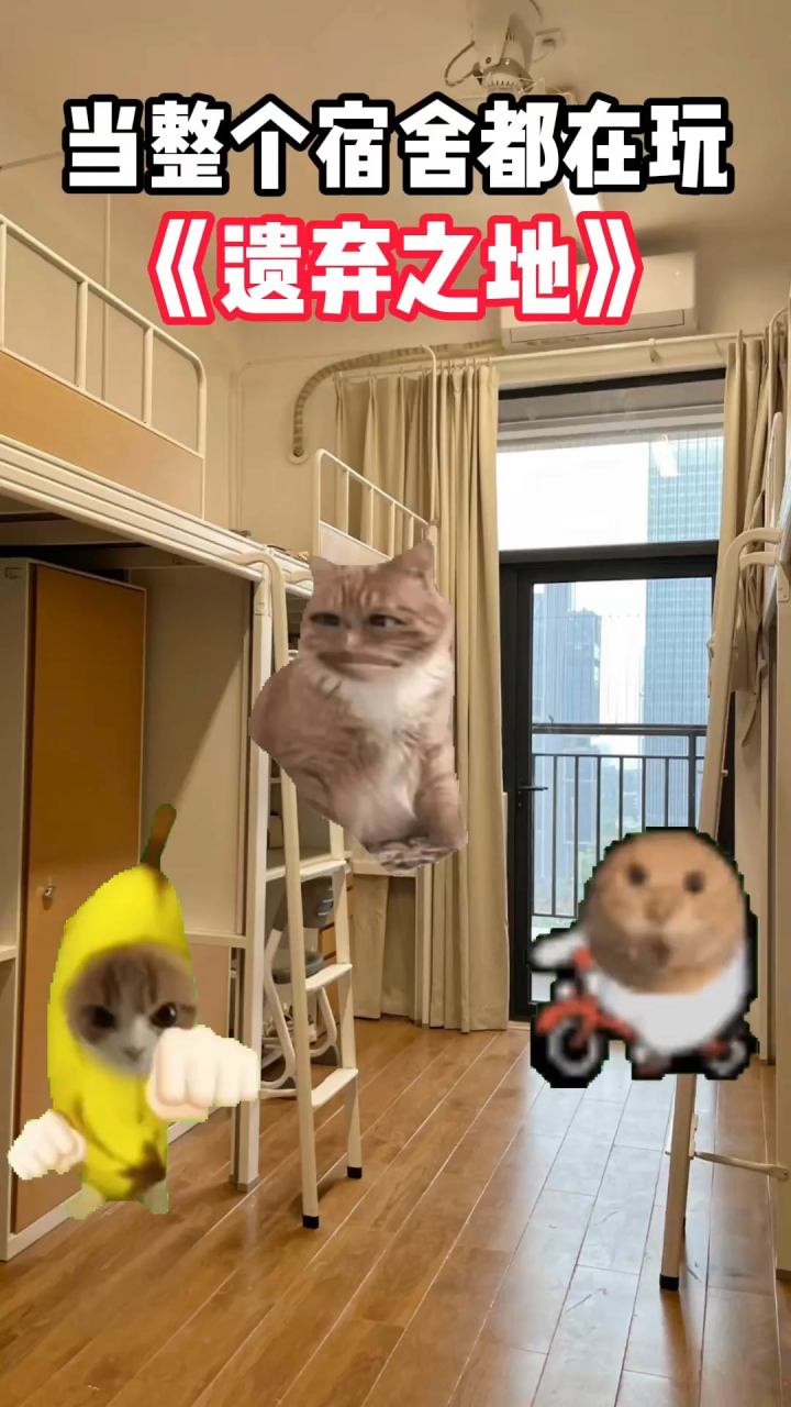 当整个宿舍都在玩遗弃之地截图