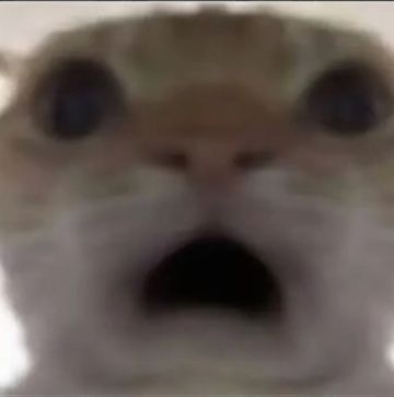 她突然凑近问我。