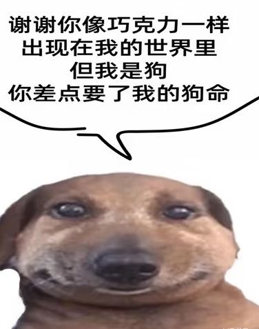大家现在都在哪里挂机聊天啊 1