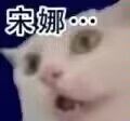 咱们神隐有自己的xx邮报截图
