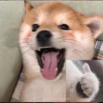 新增福利已送达！请尽快查收~