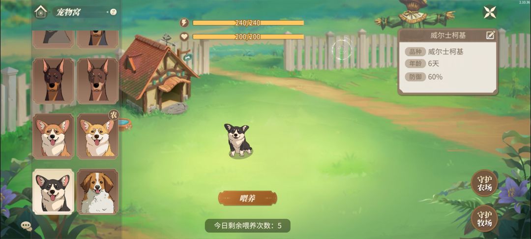 这三只狗的喂养次数 5 次好少,不能一样吗 2
