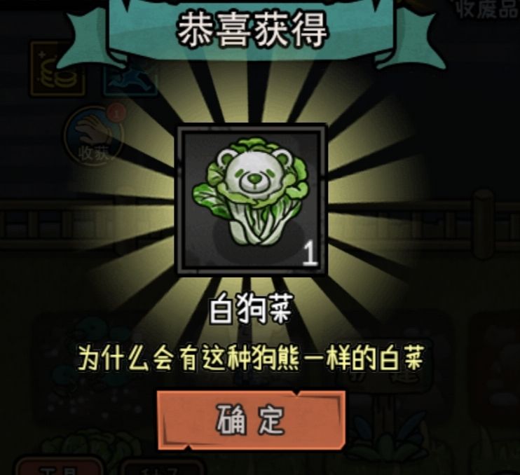 🆘大家快种🥬白菜💓💗!! 2