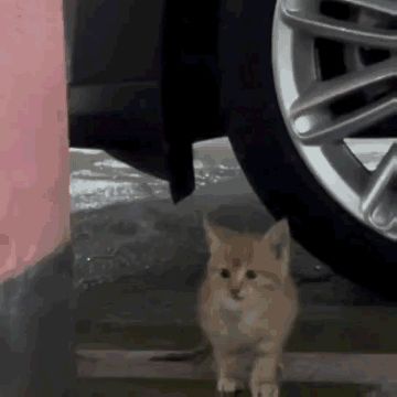 亿点点建议截图