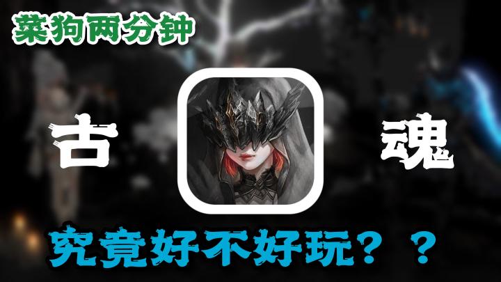 【古魂】一款‘硬核魂类’游戏,也只有黑丝白丝更吸引人罢了!截图