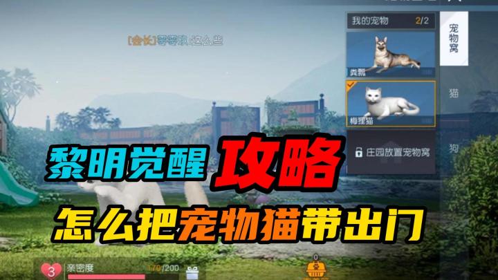 【黎明觉醒:生机】:怎么把宠物猫带出门截图