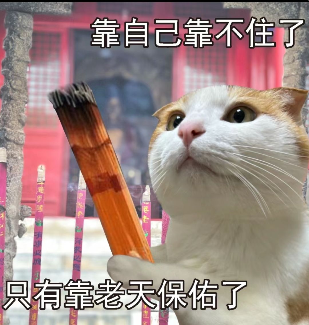 联动的这么弱,下版本内海会不会强度爆炸 1