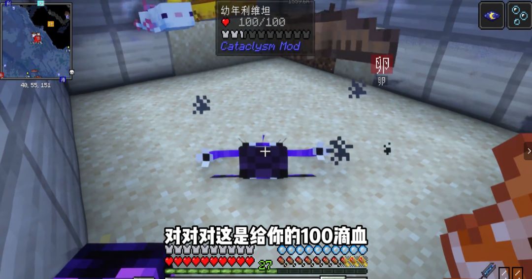 video-3850309