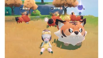 燃尾虎🔥系稀有词条培养攻略❗️来了❗️❗️（战斗词条总结）