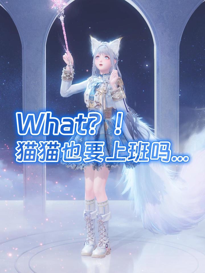 生活不易...猫猫打工!截图