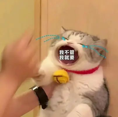 这次开发了一个秋主题的小镇,之前的还有一个冬,该不会要春夏秋冬各一个吧,我靠,夏季!满池的荷花,肯定很好看!截图