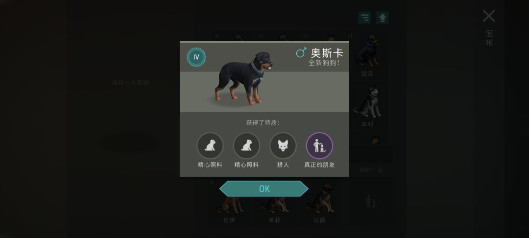 157级出了我的第一条朋友小狗🐶 1