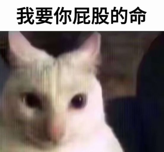 管你三七二十一,公测我偏要尝尝截图