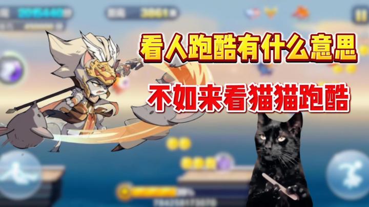 见过三国猫跑酷吗?《最强追逐》更有多重玩法等你体验!截图