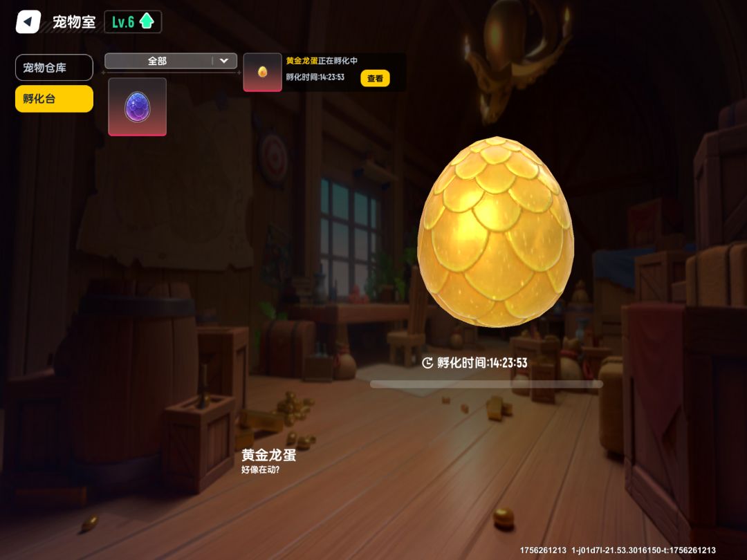 十极限金龙出一个金蛋,孵前记录 2