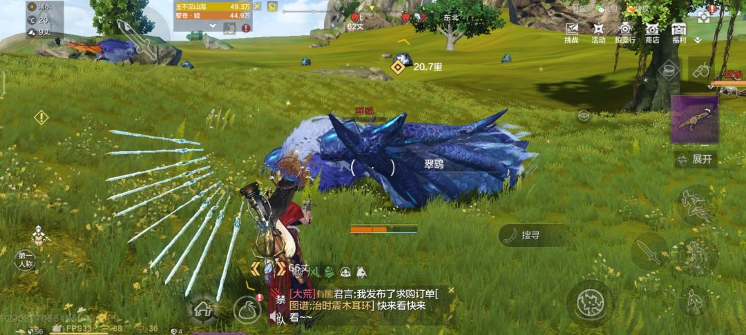 这个是什么翅膀 1