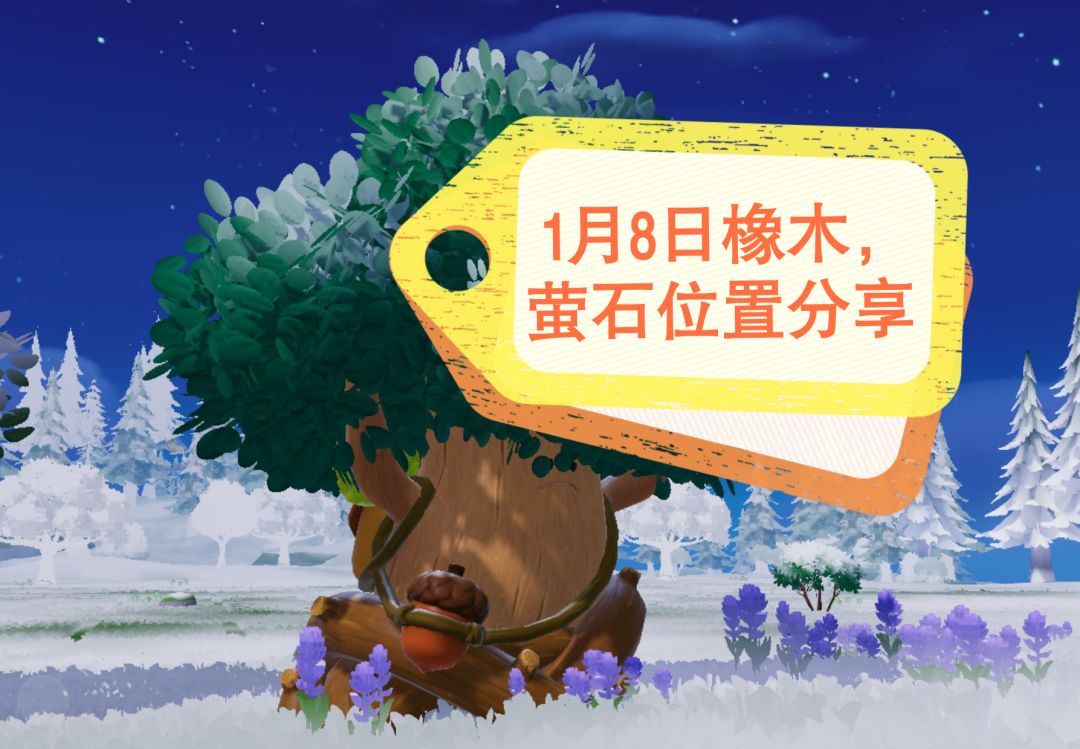 1月8日橡木萤石位置分享~截图