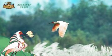 朱鹮宝宝征名活动开启！认养朱鹮，回馈自然