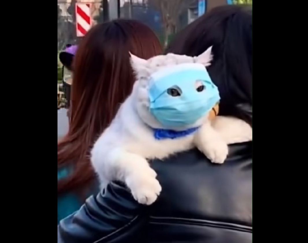 等待两人归来那一阔 1
