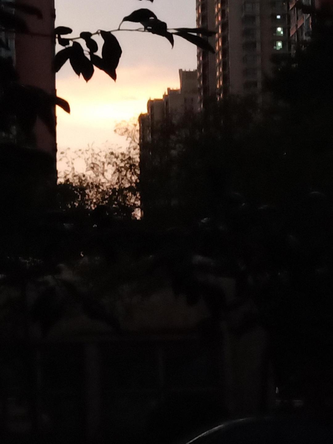 动态图片 4