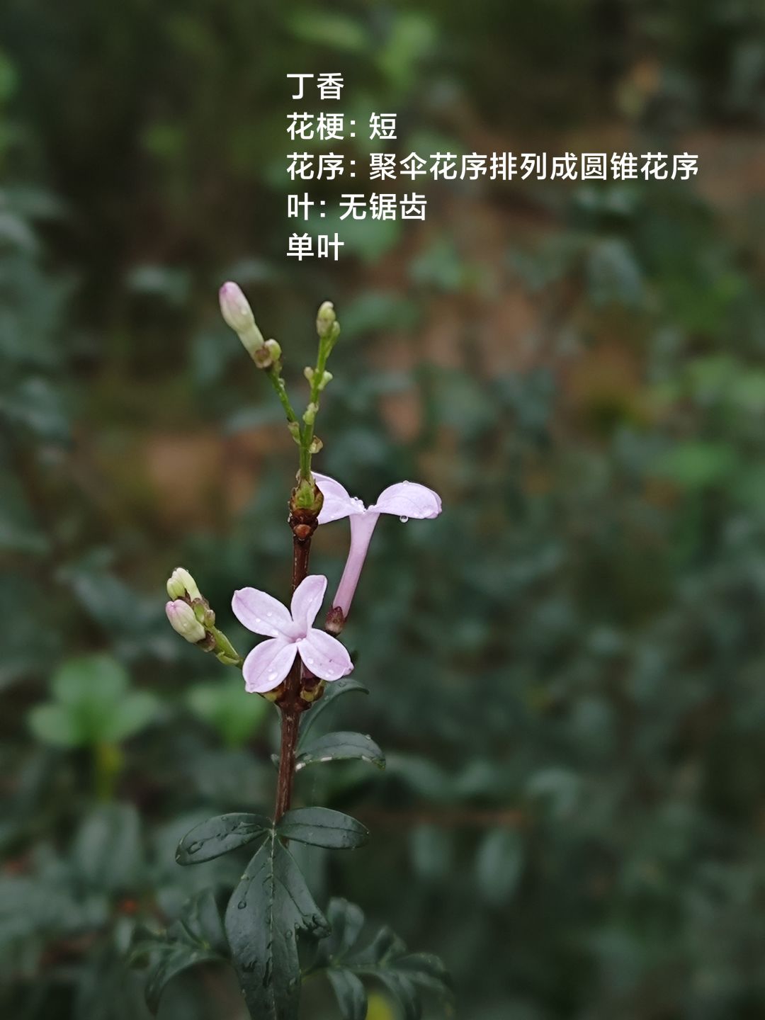 拍照活动 4