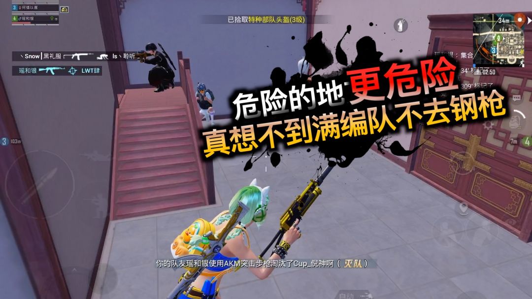 video-3956744