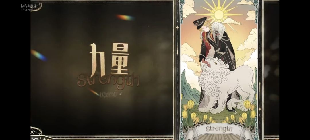 太伟大了塔罗,我就是世界! 16