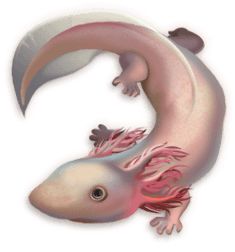 动态图片 6
