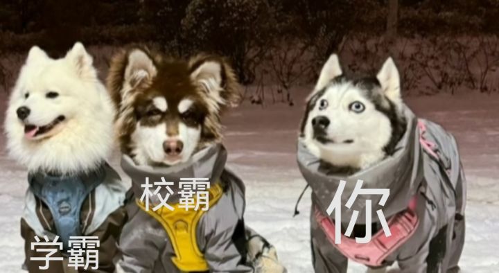 梦魇有刷过的大佬说下是什么情况嘛?截图