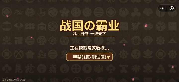 问题项截图